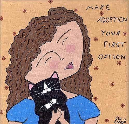 adopt cat