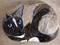 Art: snowshoe siamese by Artist Tracey Allyn Greene