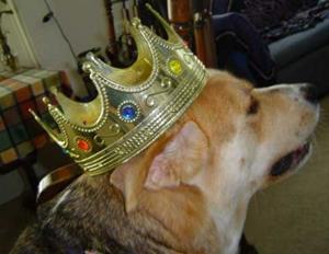 Detail Image for art ~charger~king of dogs~