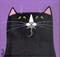 Art: ~li'l mouser~ by Artist S. Olga Linville