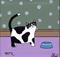 Art: ~little square cat~ by Artist S. Olga Linville