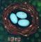 Art: 2008 Nest by Artist Becci Hethcoat