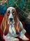Art: Bennie Bassett Hound by Artist Alma Lee