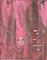 Art: Blazing Away - tribute to Marianne Faithful SOLD by Artist Nancy Denommee   