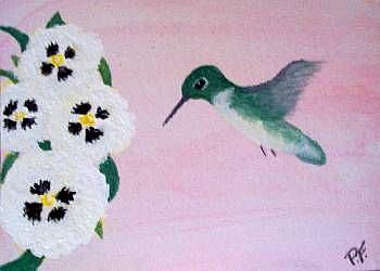 Art: humming bird and white panies flower by Artist POLLY FORD PAINTINGS