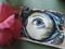 Art: Eye Miniature Through Looking Glass by Artist Chris Jeanguenat
