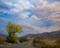 Art: Blue Skies Ahead, Bishop California Eastern Sierra Landscape Oil Painting by Artist Karen Winters