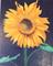 Art: Sunflower on Cornflower by Artist 