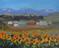 Art: Sunflower Landscape by Artist Delilah Smith
