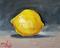 Art: Lemon Fruit by Artist Delilah Smith