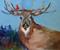 Art: Deer and Cardinal-sold by Artist Delilah Smith