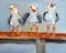 Art: Three Gulls No. 2 by Artist Delilah Smith
