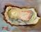 Art: Oyster Still Life No. 4 by Artist Delilah Smith