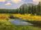 Art: Cool water Hat Creek Lassen fishing oil painting by Artist Karen Winters