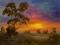 Art: Radiant eucalyptus - California sunset oil painting by Artist Karen Winters