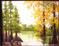 Art: Yellow Cypress Trees Landscape by Artist Barbara Haviland
