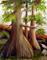 Art: McKinney Falls Plein Air NO 3 by Artist Barbara Haviland