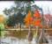 Art: 10x12 shangraLa 003.JPG by Artist Barbara Haviland