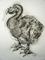 Art: The Dodo Drawing by Artist Chris Jeanguenat