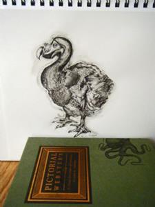 Detail Image for art The Dodo Drawing
