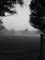 Art: The Moon and the Fog at Dusk by Artist Chris Jeanguenat