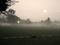 Art: Blanket Fog Dusk by Artist Chris Jeanguenat