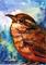 Art: Little Brown Bird by Artist Catherine Darling Hostetter
