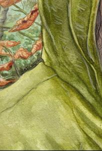 Detail Image for art Strider (Aragorn)