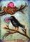 Art: Love Birds by Artist Catherine Darling Hostetter
