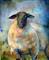 Art: A Suffolk Sheep by Artist Catherine Darling Hostetter