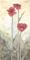 Art: Poppies and Grass by Artist Sara Burrier