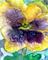 Art: Pansy4 by Artist Judith A Brody