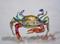 Art: Old Crab by Artist Delilah Smith