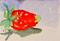 Art: Strawberry Aceo by Artist Delilah Smith