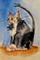Art: Tuxedo Cat by Artist Delilah Smith