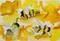 Art: Busy Bee by Artist Delilah Smith