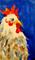 Art: Farm House Rooster by Artist Delilah Smith