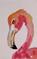 Art: Flamingo No. 24 by Artist Delilah Smith