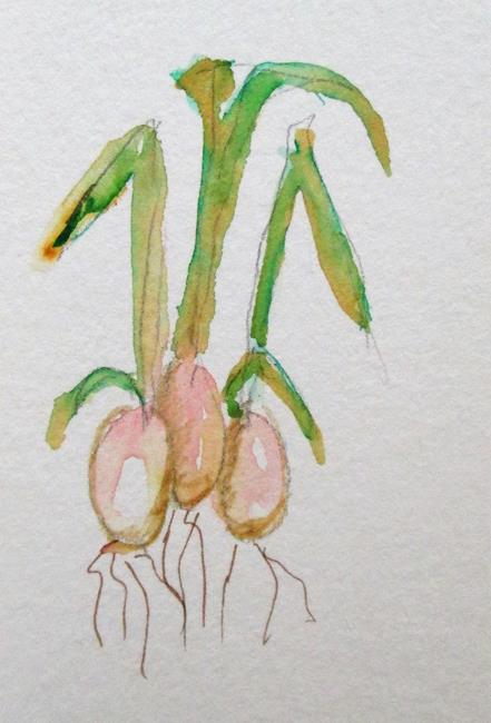 Art: Onions Aceo by Artist Delilah Smith