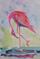 Art: Flamingo No, 41 by Artist Delilah Smith