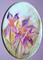 Art: DELICATE IRISES by Artist LUIZA VIZOLI