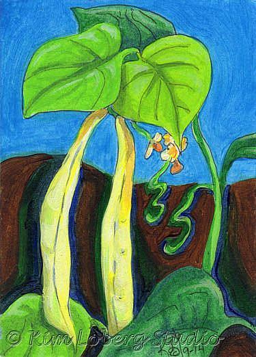 Art: Kentucky Wonder Wax Beans by Artist Kim Loberg