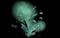 Art: Fire Flies by Artist Shari Lynn Schmidt