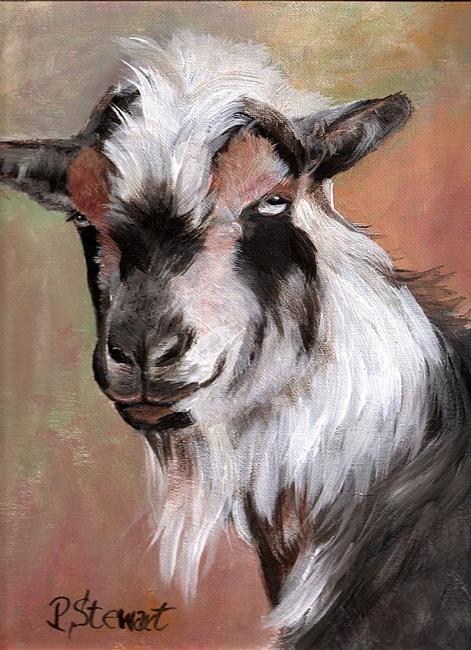 Art: Dr Dre, Nigerian Dwarf Goat Pet Portrait by Artist Penny StewArt