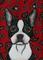 Art: Paisley Boston Terrier by Artist Melinda Dalke