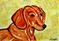 Art: Dachshund Study 4 by Artist Melinda Dalke