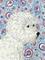 Art: Paisley Westie Dog by Artist Melinda Dalke