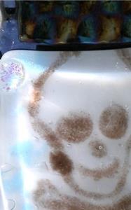 Detail Image for art Bones