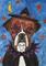 Art: Witchy Boxer by Artist Melinda Dalke