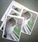 Art: Note Cards Cat Laughing by Artist Heather M. Mathieson